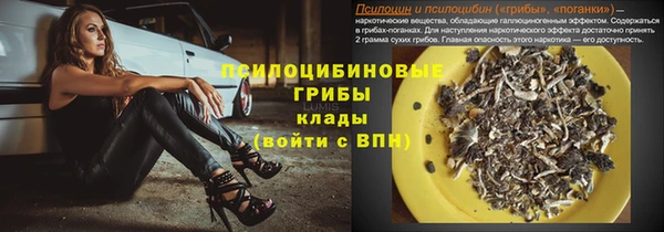 МДПВ Липки