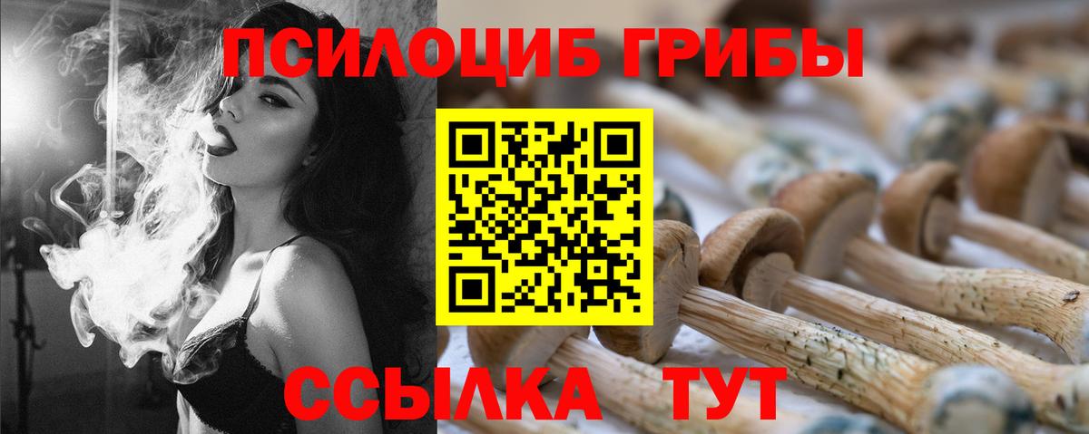 Галлюциногенные грибы Psilocybine cubensis Миллерово