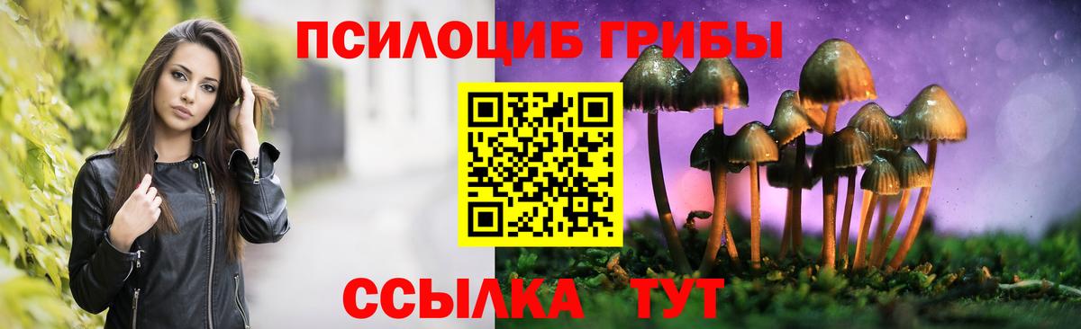 Галлюциногенные грибы прущие грибы  Вход с VPN  Миллерово 